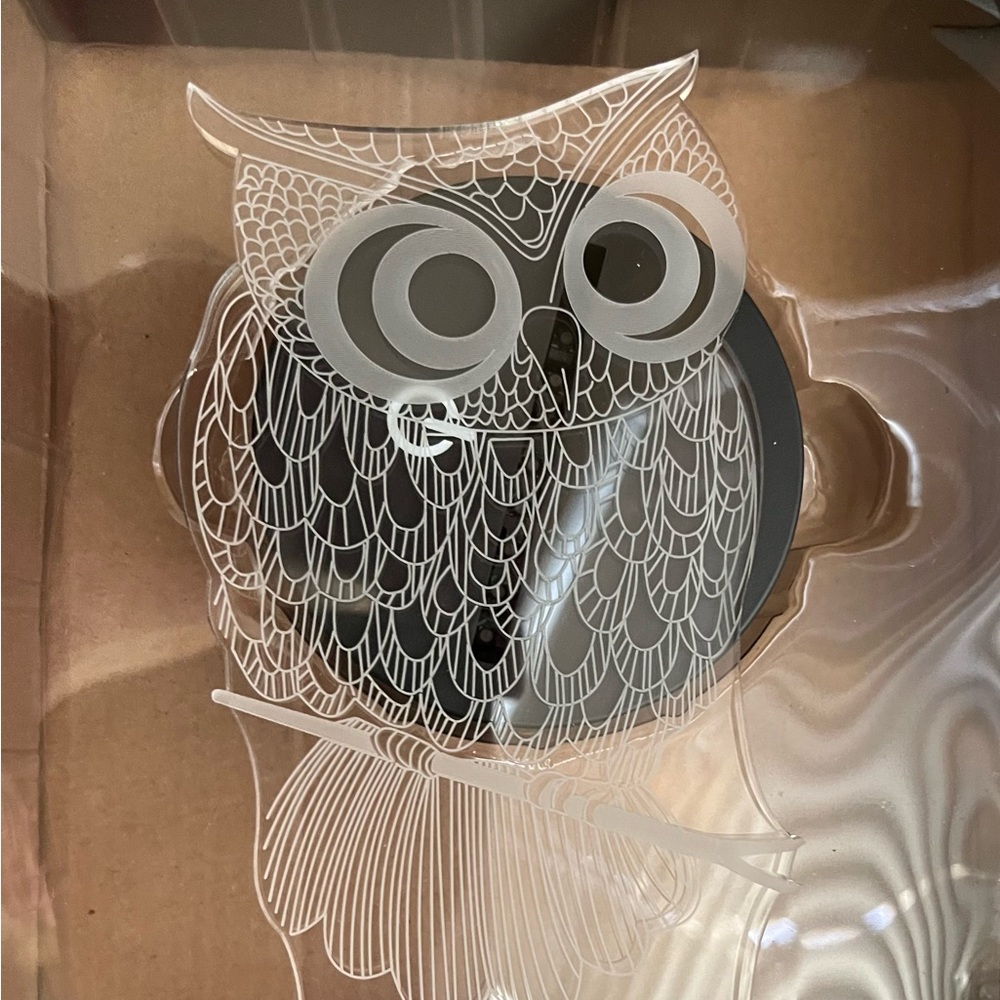 Brand New Owl Color Changing Night Light